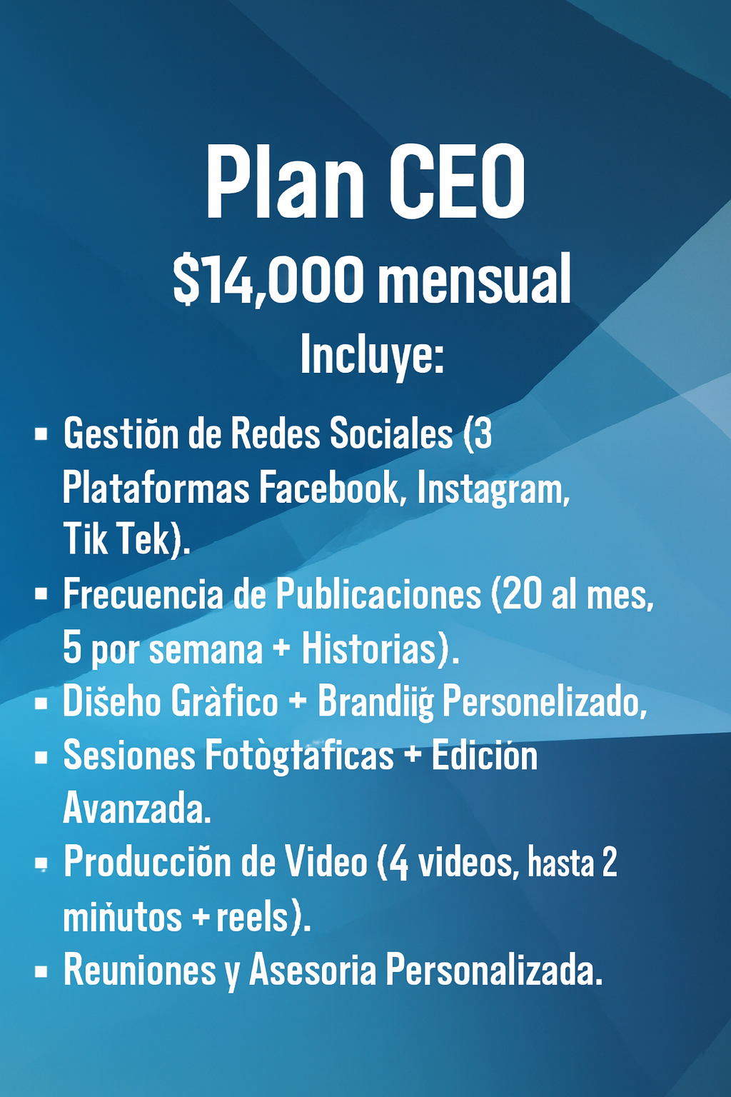 Plan CEO